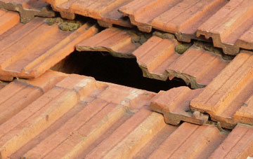 roof repair Roselands, East Sussex